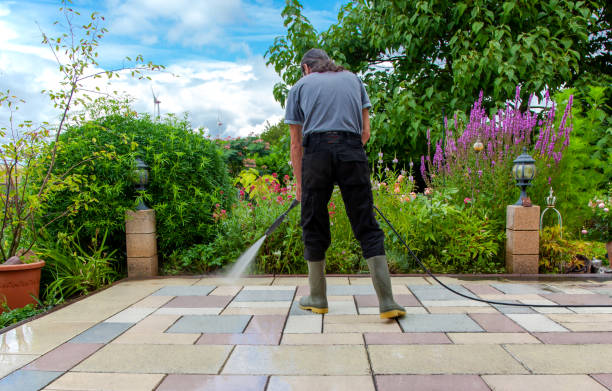 Animal Enclosure Cleaning in Great Bend, NY